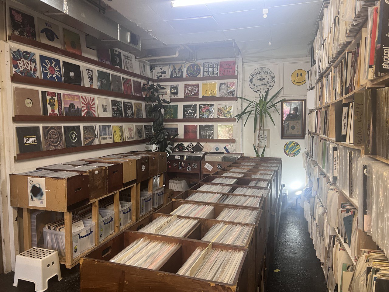 palace vinyl record shop