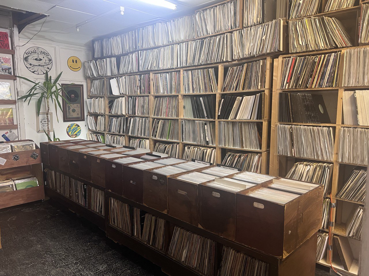 Palace Vinyl Record Shop